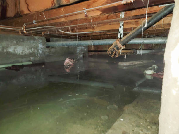 Best Commercial water damage restoration  in Falfurrias, TX