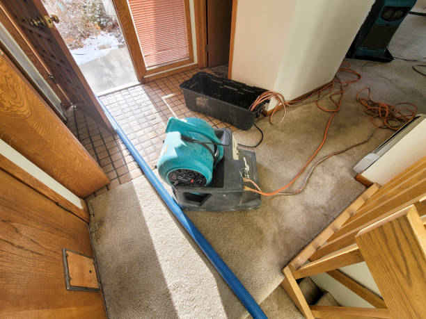 Best Water damage restoration near me  in Falfurrias, TX