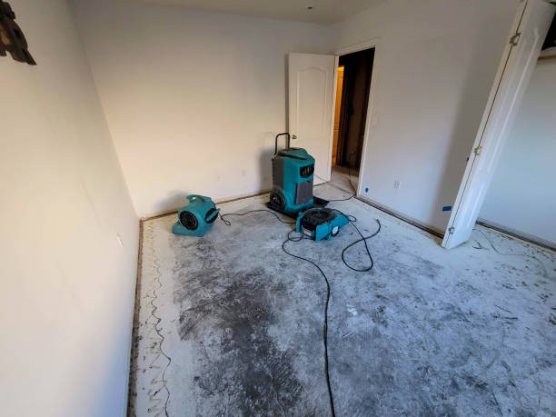 Best Flooded house restoration  in Falfurrias, TX