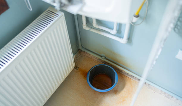 Best Mold removal after water damage  in Falfurrias, TX