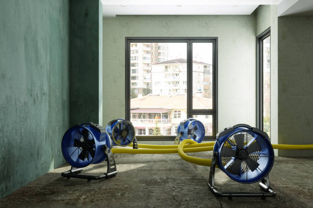 Best Ceiling water damage repair  in Falfurrias, TX